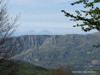 Biviere_Cesaro - 27-04-2014 17-08-38.jpg